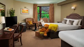Oranmore Lodge Hotel Conference And Leisure Centre Galway - Habitación