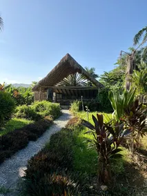 Dominican Jungle Resort  - Réception