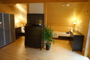 W & S Executive Apartments - Hallstatt II - Sala de estar