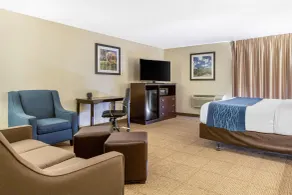 Comfort Inn Grand Rapids Airport - Chambre