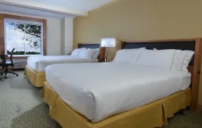 Holiday Inn Express & Suites High Point South by IHG - Camera