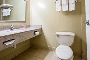 Econo Lodge Harrisburg - Hershey - Badezimmer