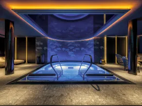 Steigenberger Icon Europäischer Hof Baden Baden - Basseng