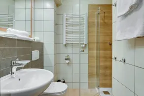 Park Hotel Diament Katowice - Badrum
