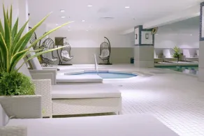 Delta Hotels Montreal by Marriott - Piscine