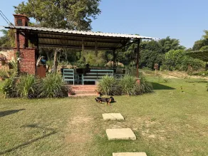 Jaadooghar- My Mom's Village Ayodhya - Overnatningsstedets område