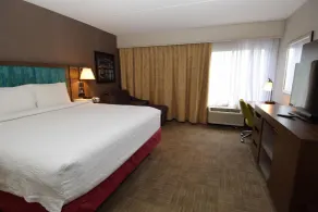 Hampton Inn Rochester-Greece - Værelse