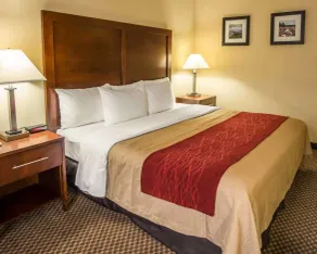 Comfort Inn & Suites Morganton South - Chambre