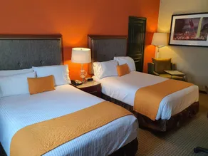 Hotel San Francisco Leon - Chambre