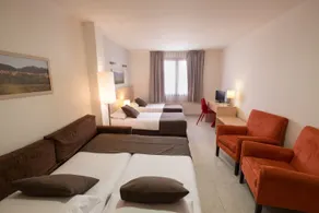 Hotel Alta Garrotxa - Rum