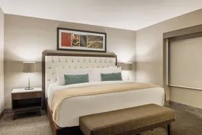 Dominion Polanco - Room