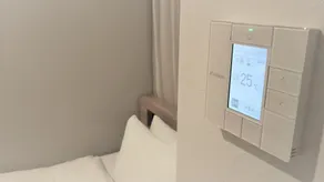 Sotetsu Fresa Inn Tokyo Kinshicho - Room