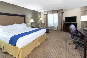 Holiday Inn Express & Suites Madison-Verona by IHG - Værelse