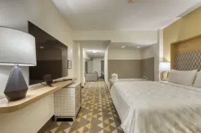 Holiday Inn Hotel & Suites Madison West - Middleton by IHG - Værelse