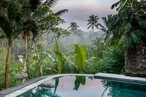 Nau Villa Ubud - View from room