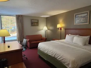 Econo Lodge Mt Hope - Beckley North - Chambre