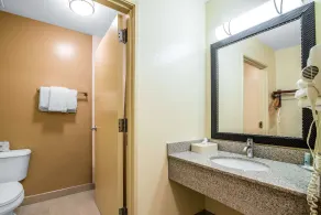 Quality Inn Loudon-Concord - Salle de bain