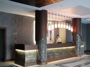 My Dream Hotel - Reception