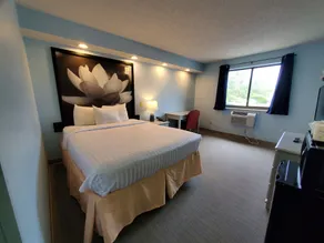 Coastal Inn & Suites - Room
