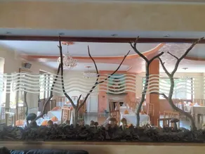 Hotel Ristorante Caligiuri - Restaurant
