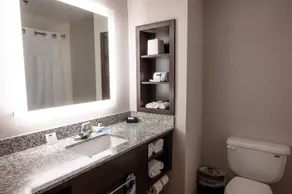 Holiday Inn Express & Suites - Tuscaloosa-University by IHG - Salle de bain