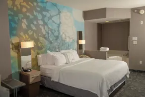 Courtyard by Marriott Erie Ambassador Conference Center - Piscine