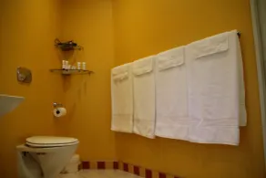 Silverstream Alpaca Farmstay & Tour - Bathroom