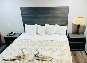 Executive Inn and Suites Houston - Zimmer