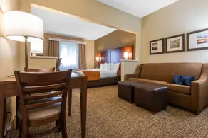 Comfort Suites Rochester Henrietta University Area - Chambre