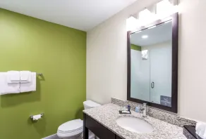 Sleep Inn Logan Ohio-Hocking Hills - Salle de bain