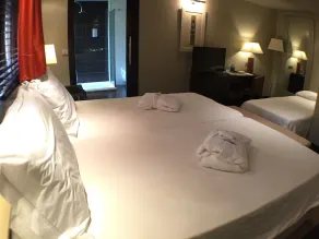 Hotel La Trufa Negra - Zimmer