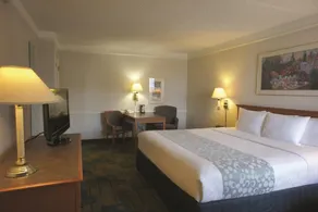 Super 8 by Wyndham Austin South I-35 - Room