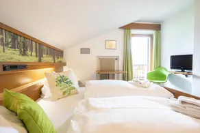 Guesthouse Pension Grafenstein - Room