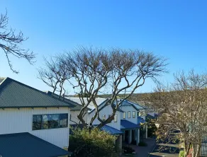 Margaret River Beach Houses - Room