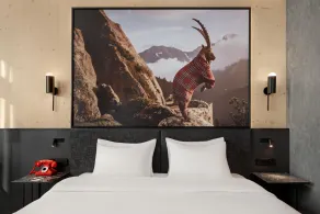 Radisson RED Innsbruck - Værelse