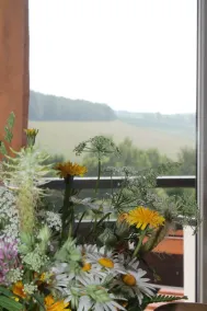 Hotel Carolaruh - View from room