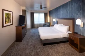 Homewood Suites by Hilton Seattle-Issaquah - Room