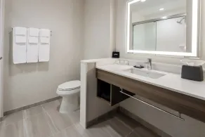 Holiday Inn Express & Suites Benson by IHG - Badeværelse