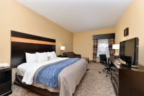 Comfort Inn & Suites at Stone Mountain - Chambre
