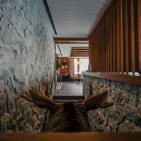 Grey Family Hotel - Restaurant