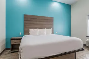 Americas Best Value Inn & Suites Katy - Chambre
