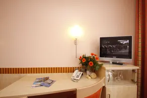 Hotel Kaiserhof Wesel - Room
