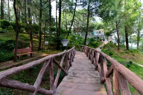 Kasauli Hills Resort - Lobby