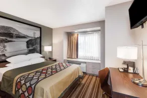 Super 8 by Wyndham Schenectady/Albany Area - Chambre