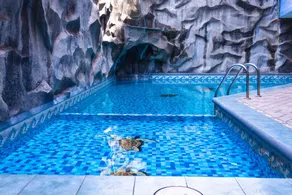 Hotel Tapachula - Piscine