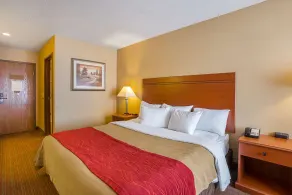 Quality Inn York - Chambre
