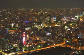 Osaka Marriott Miyako Hotel - View from room
