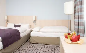 Mercure Hotel Mannheim am Friedensplatz - Chambre