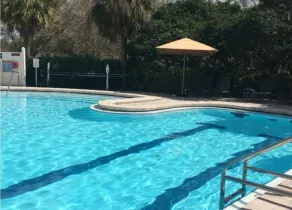 Sheraton Tampa Brandon Hotel - Piscine