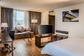 Fiesta Inn Tuxtla Fashion Mall - Chambre